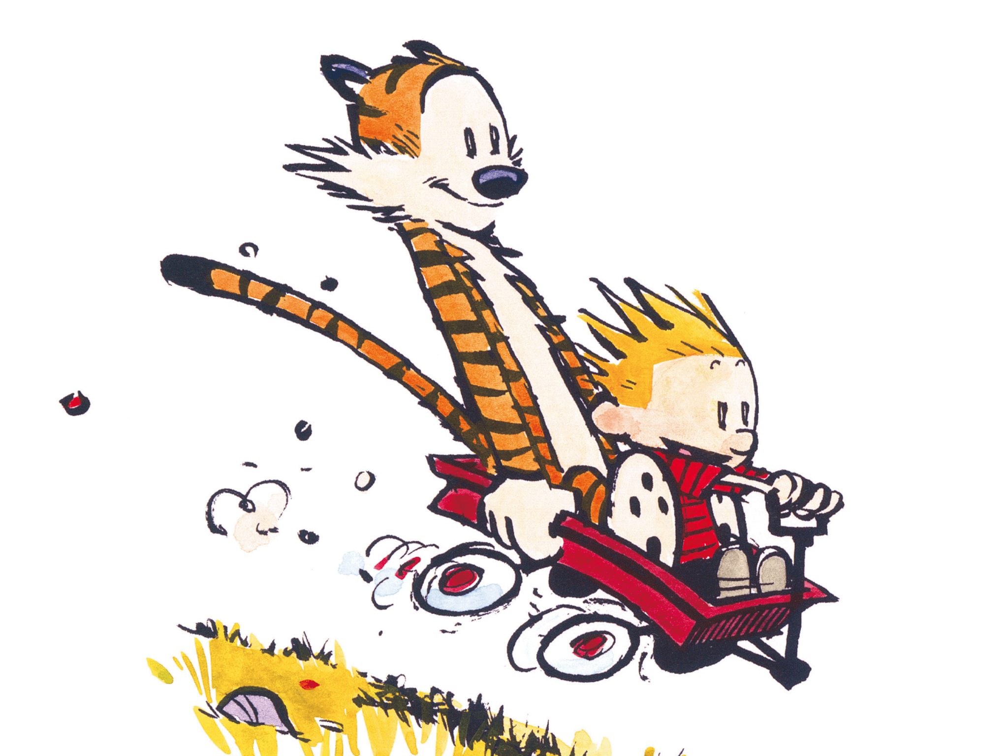 Calvin and Hobbes, autor Bill Watterson