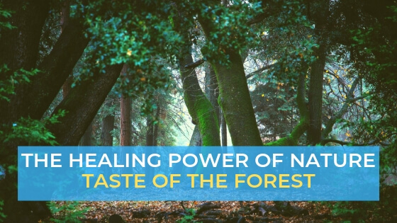 the healing power of nature